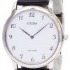 Citizen Eco-Drive Stiletto Super Thin AR1110-11B Men's Watch