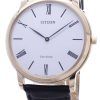 Citizen Eco-Drive Stilleto Super Thin AR1113-12B Men's Watch