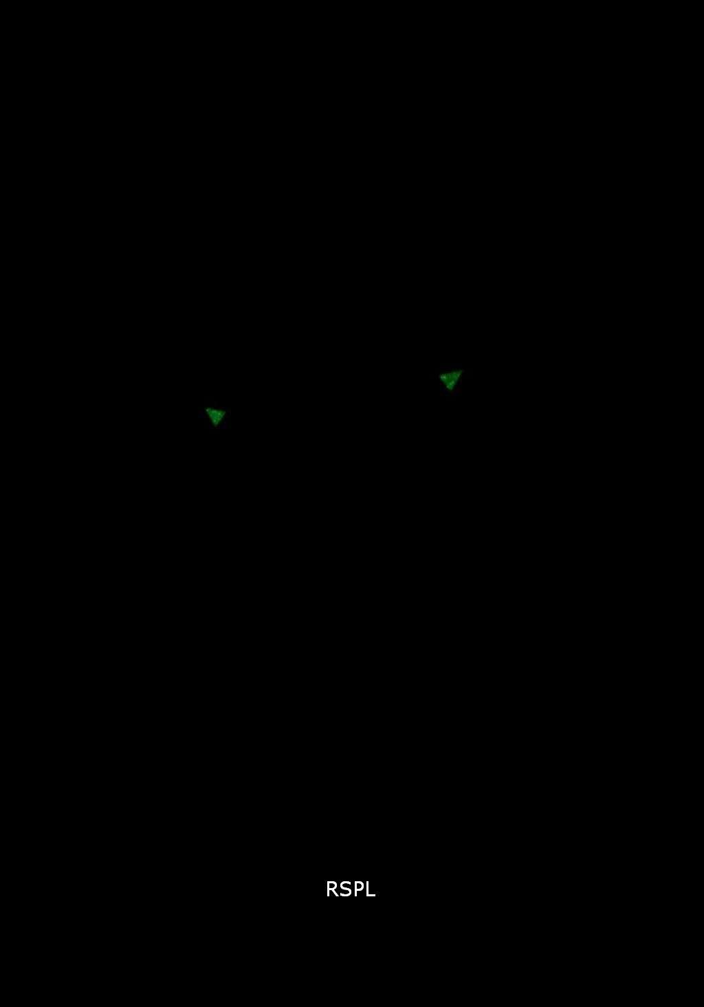 Armani Exchange ATLC Quartz AX1453 Men's Watch