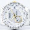 Citizen Eco-Drive Satellite Wave GPS World Time CC3004-53A Men's Watch