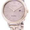 Citizen Eco-Drive Chandler Silhouette EW2443-55X Women's Watch