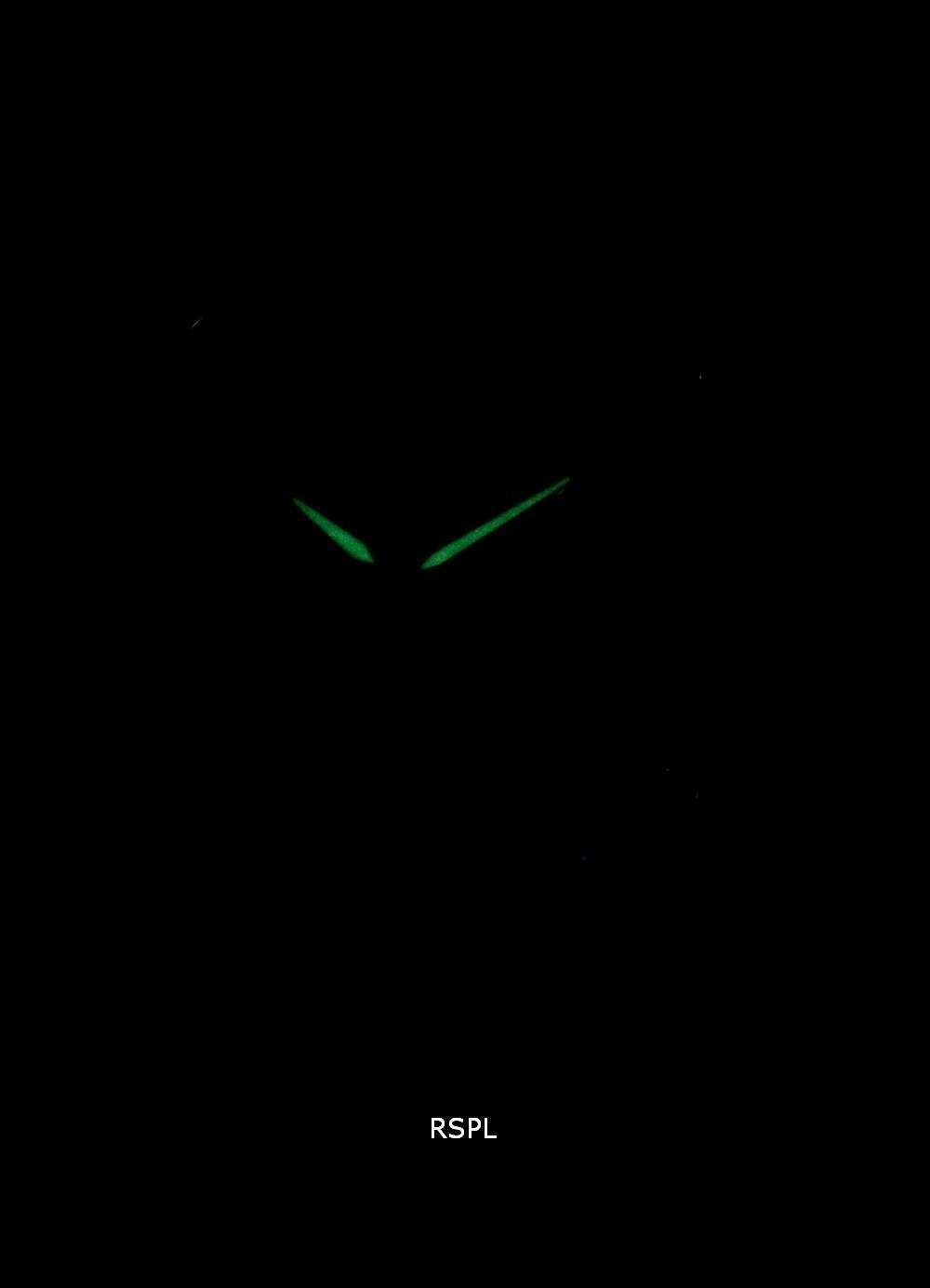 Hamilton Jazzmaster H32115892 Diamond Accent Automatic Women's Watch