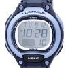 Casio Illuminator Dual Time Alarm Digital LW-203-2AV LW203-2AV Women's Watch