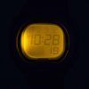 Casio Illuminator Dual Time Alarm Digital LW-203-2AV LW203-2AV Women's Watch