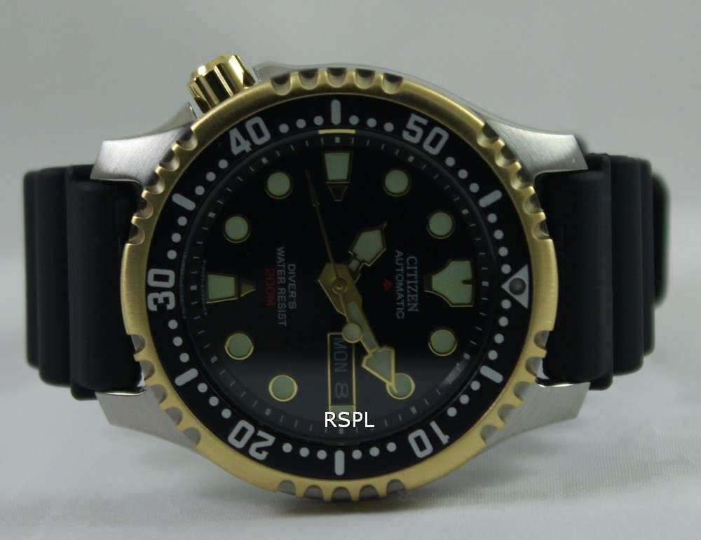 Citizen Diver Promaster Automatic Gold 21 Jewels 200m NY0045-05E