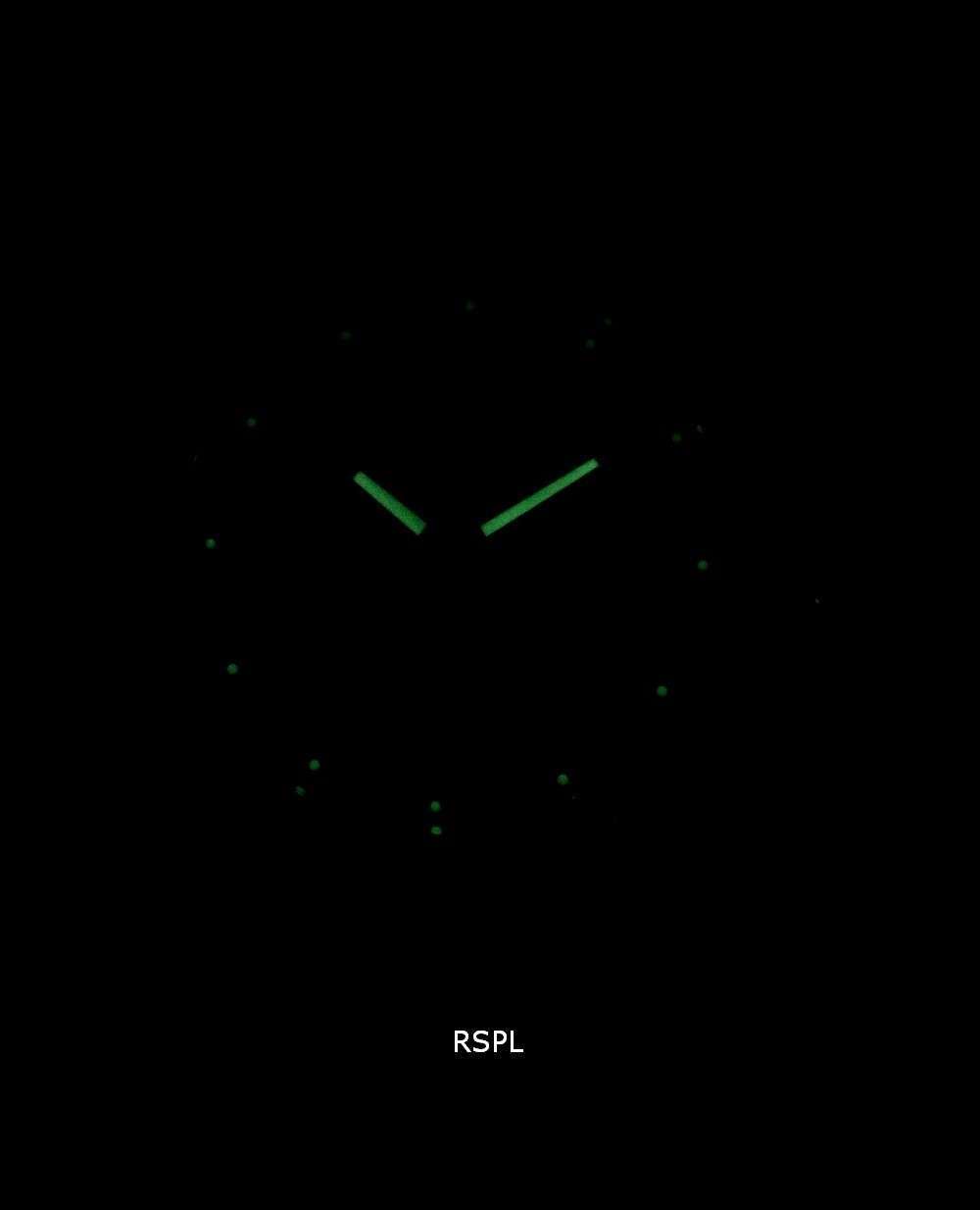 Orient RA-AA0C02L19B Automatic 22 Jewels Men's Watch