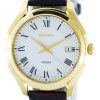 Seiko Quartz Analog SGEF72 SGEF72P1 SGEF72P Men's Watch