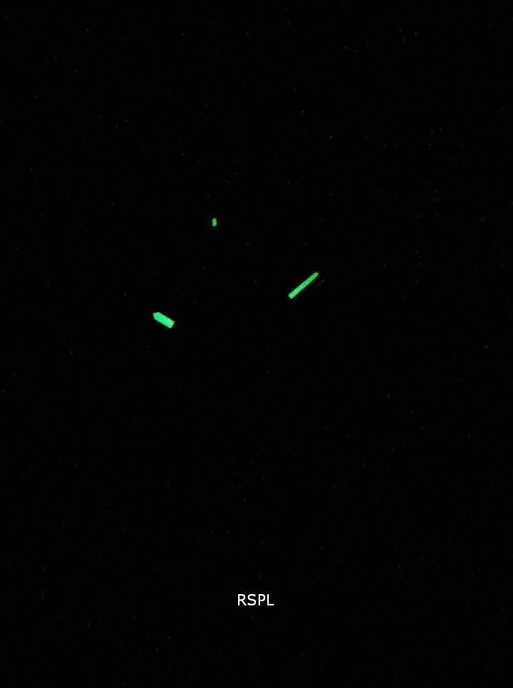 Seiko Kinetic Titanium Power Reserve SKA713P1 SKA713P SKA713 Men's Watch