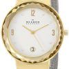 Skagen Leonora Silver Dial Swarovski Crystal Mesh Bracelet SKW2002 Womens Watch
