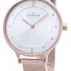 Skagen Anita Silver Dial Crystal Rose Gold-Tone Mesh Bracelet SKW2151 Womens Watch