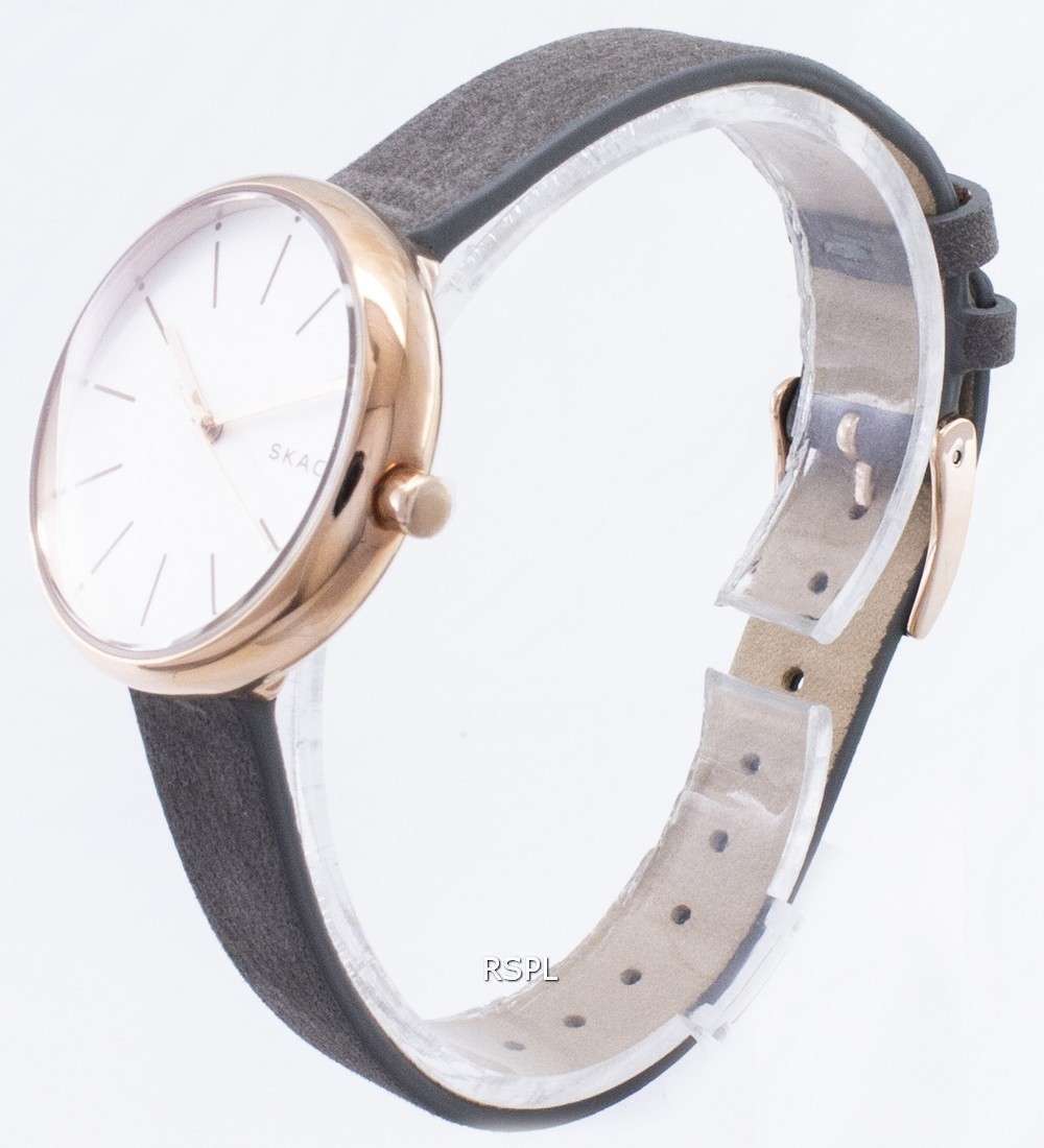 Skagen Signatur Analog Quartz SKW2644 Women's Watch