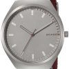 Skagen Grenen Analog Quartz SKW6386 Men's Watch