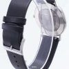 Skagen Signatur Slim Titanium Quartz SKW6419 Men's Watch