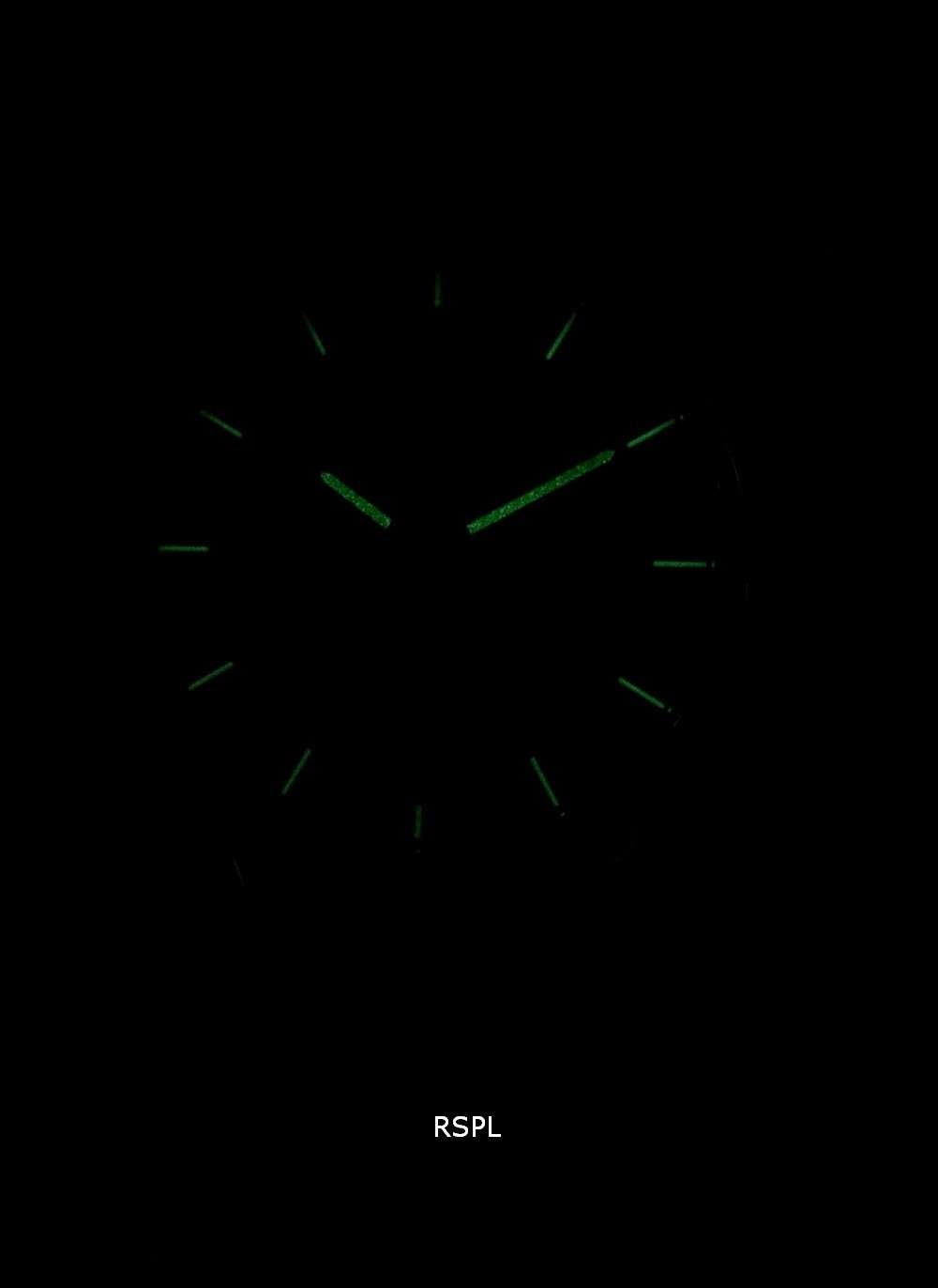 Skagen Holst Multifunction Quartz SKW6449 Men's Watch