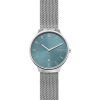 Skagen Grenen SKW6521 Quartz Men's Watch