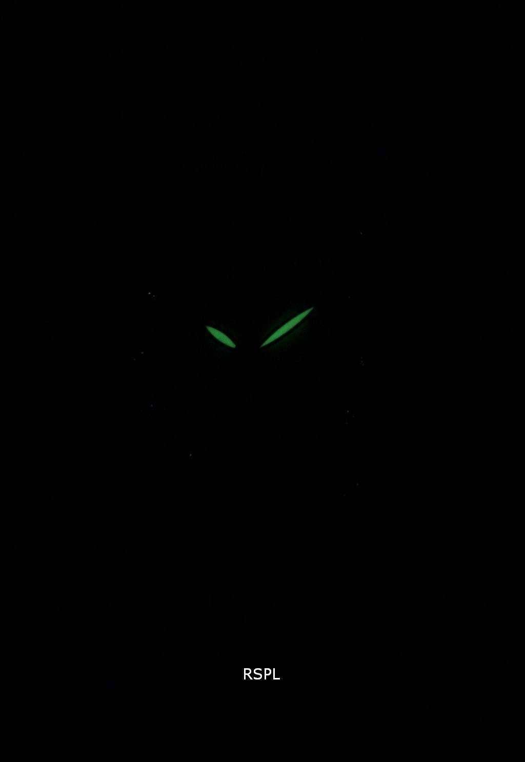 Seiko Lukia Solar Limited Edition SUT304 SUT304J1 SUT304J Women's Watch