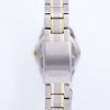 Seiko Sapphire Titanium Quartz 100M SXA115 SXA115P1 SXA115P Womens Watch