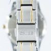Seiko Sapphire Quartz SXDG90 SXDG90P1 SXDG90P Women's Watch