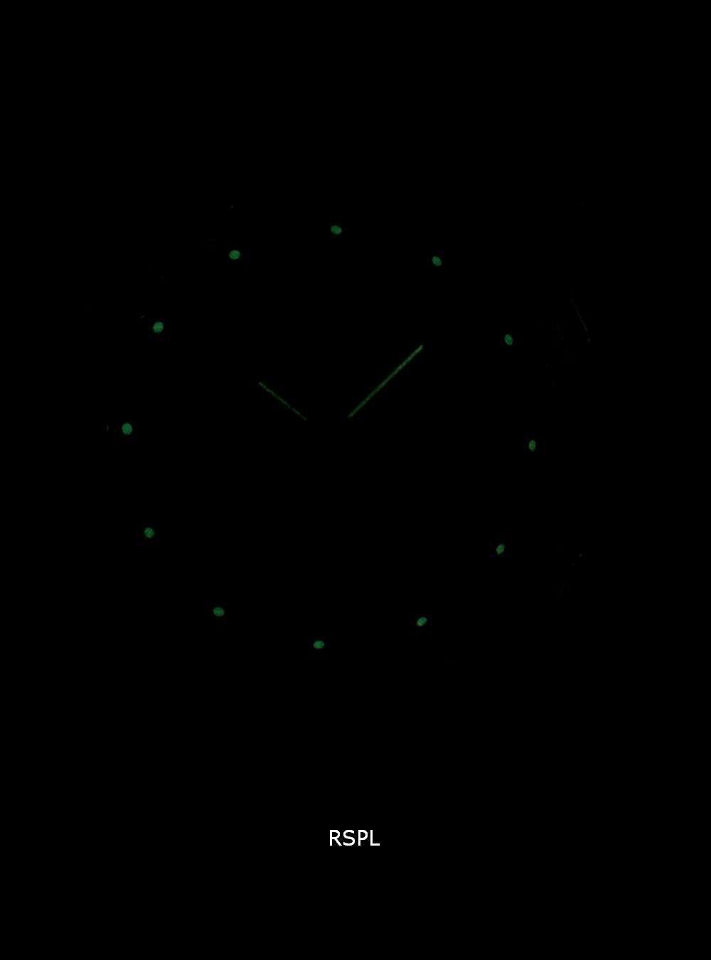 Victorinox Alliance Swiss Army Chronograph Quartz 241748 Men's Watch