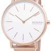 Skagen Signatur SKW2784 Quartz Ladies's Watch
