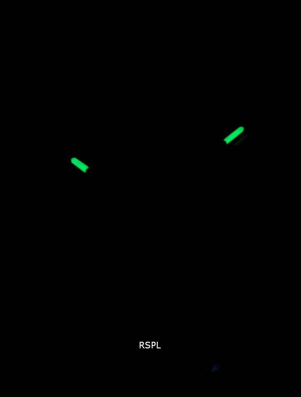 Citizen Eco-Drive Satellite Wave GPS CC3075-80E World Time Men's Watch