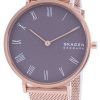 Skagen Hald SKW2813 Quartz Women's Watch