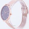 Skagen Hald SKW2813 Quartz Women's Watch
