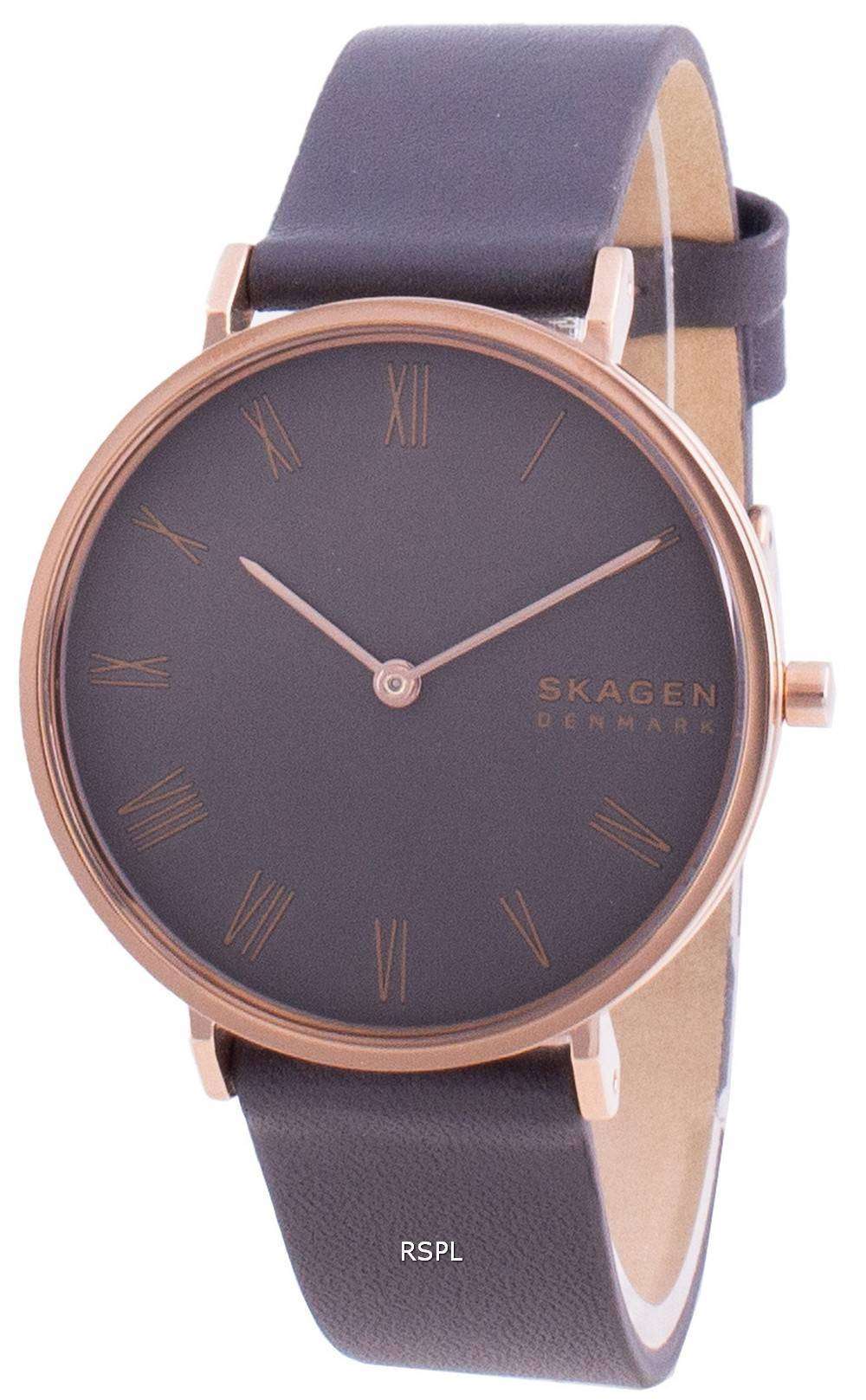 Skagen Hald SKW2816 Quartz Women's Watch