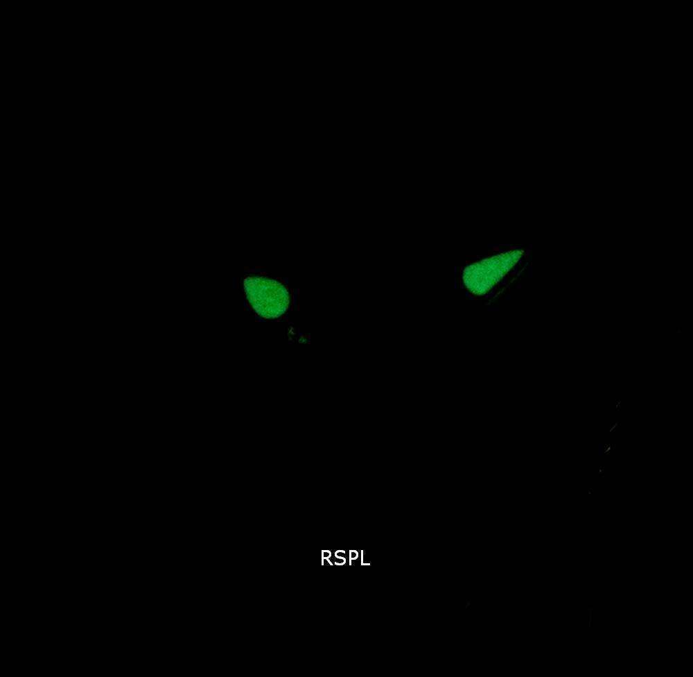 Invicta Objet D Art 26350 Automatic Women's Watch