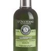 Loccitane 17AS250N18 Aromachologie Nourishing Care Conditioner 8.4 FL.OZ (250 ml)