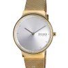 Skagen Freja Gold Tone Stainless Steel Mesh Quartz SKW1148 With Gift Set Womens Watch