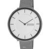 Skagen Gitte Stainless Steel Mesh White Dial Quartz SKW3016 Womens Watch