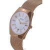 Skagen Grenen Lille Silver Dial Rose Gold Quartz SKW3035 Womens Watch