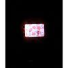 Casio Baby-G Retro Flower Field Digital Resin Strap Quartz BGD-565RP-4 100M Womens Watch