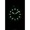Fossil Breaker Silicone Strap Black Dial Quartz Diver's FS6062 200M Men's Watch