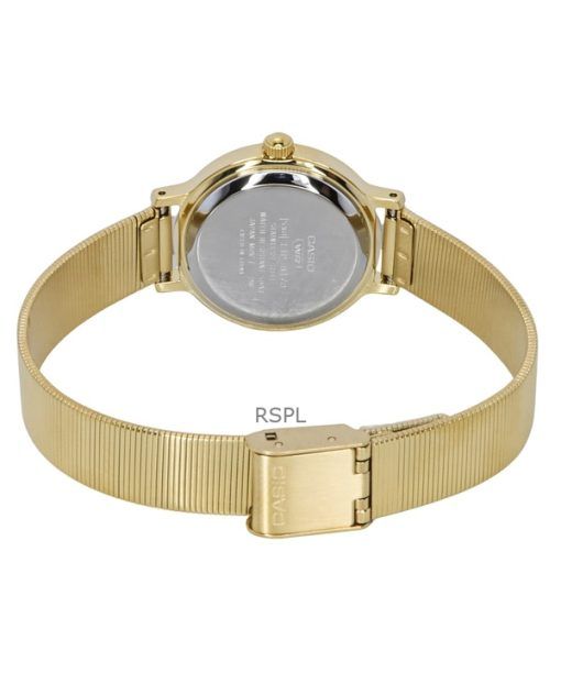 Casio Standard Analog Gold Tone Stainless Steel Brown Dial Quartz LTP-B170G-5BV Women's Watch