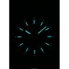 Bauhaus Aviation Titanium Dark Green Dial Automatic 2864M4 100M Men's Watch